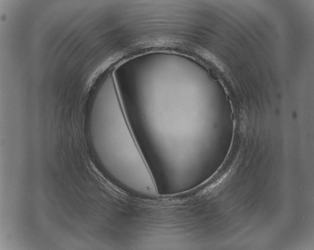 X0000075810922200609150833