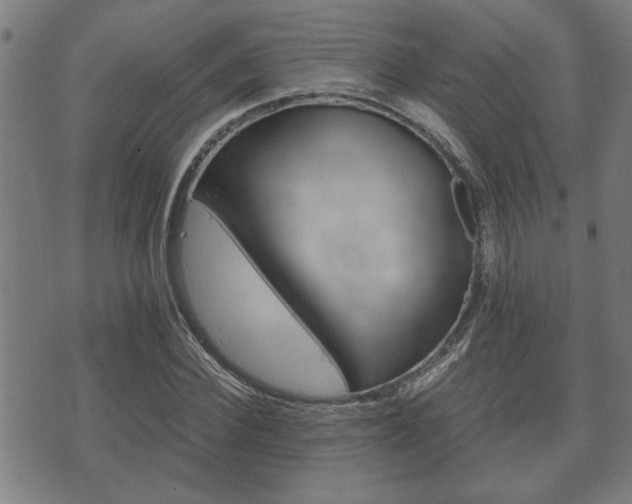 X0000075810924200609150833