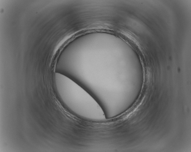 X0000075810925200609150834