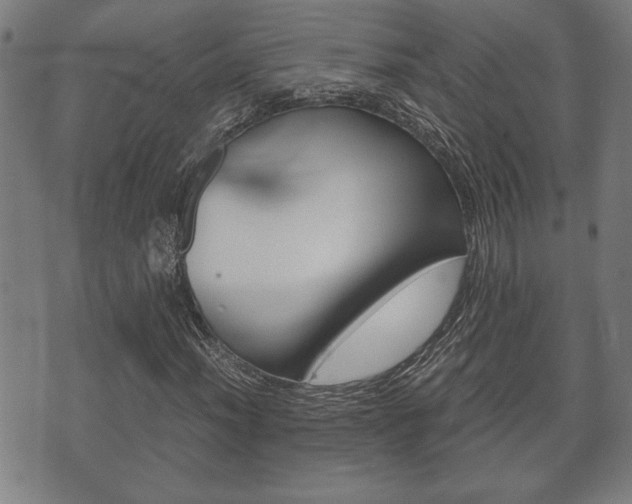 X0000075811012200609150832