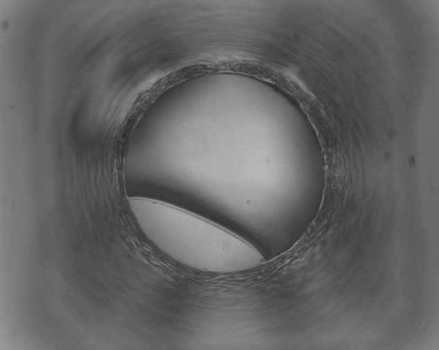 X0000075811016200609150832