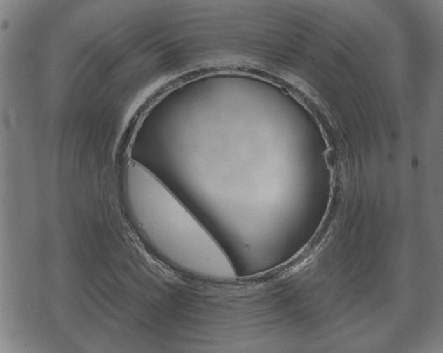 X0000075811022200609150832