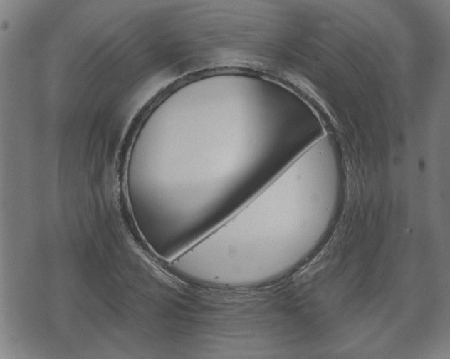 X0000075811024200609150832