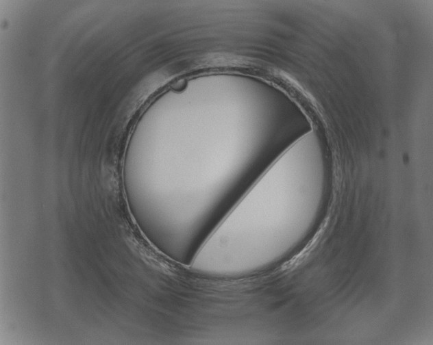 X0000075811025200609150832