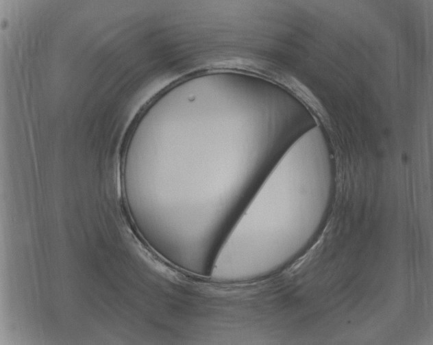 X0000075811036200609150832
