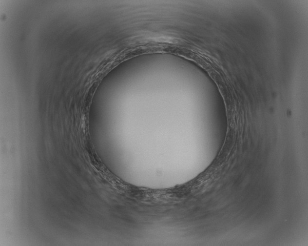 X0000075811061200609150832