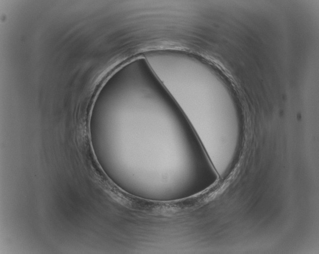 X0000075811073200609150831