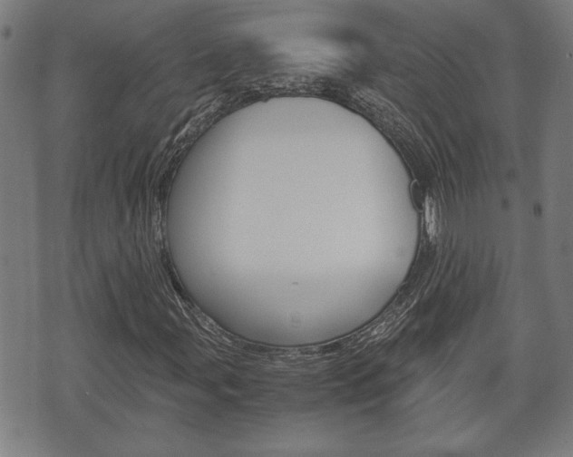 X0000075811107200609150830