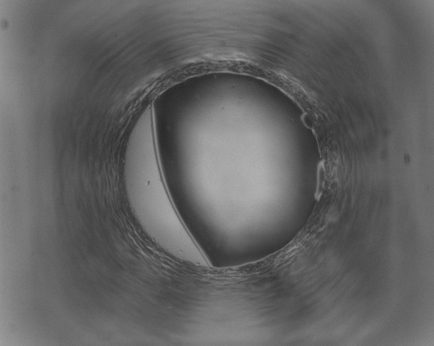 X0000075811110200609150830