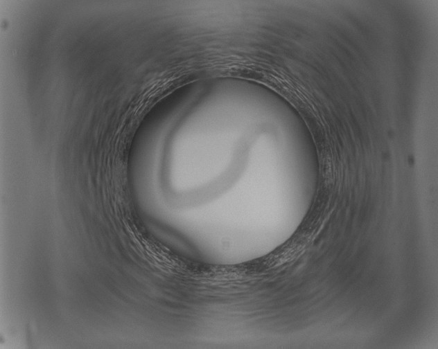 X0000075811153200609150830