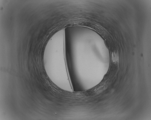 X0000075811155200609150830