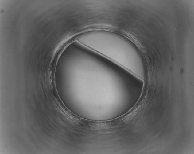 X0000075811164200609150830