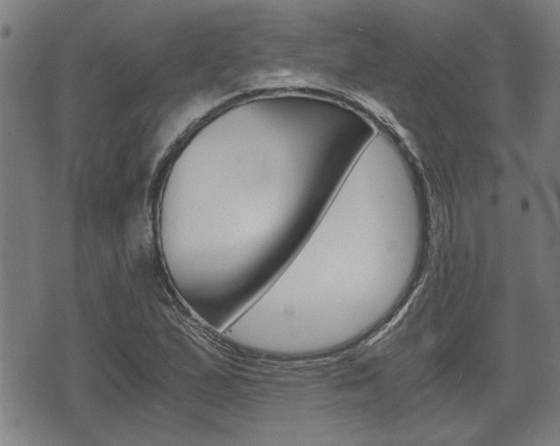 X0000075811167200609150830