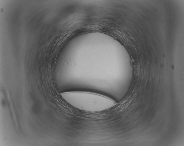 X0000075811201200609150829