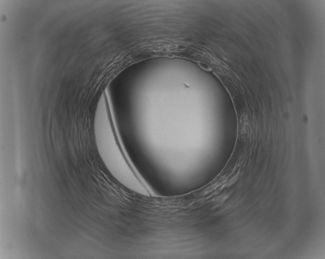 X0000075811202200609150829