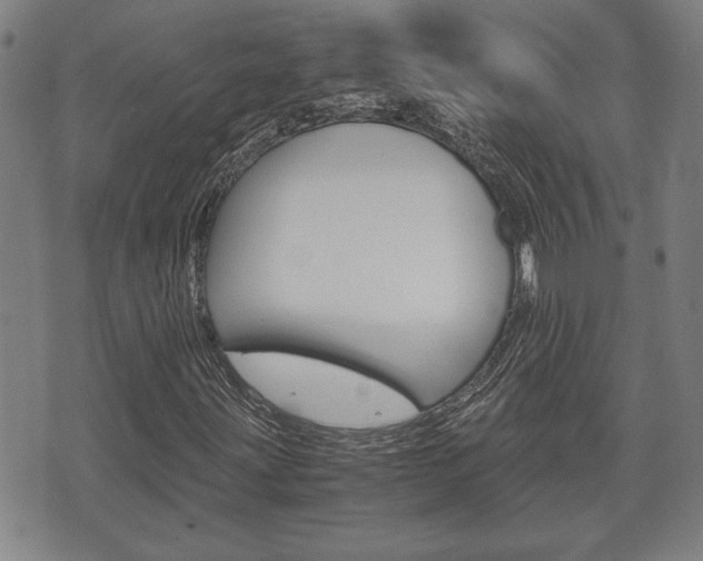 X0000075811203200609150829