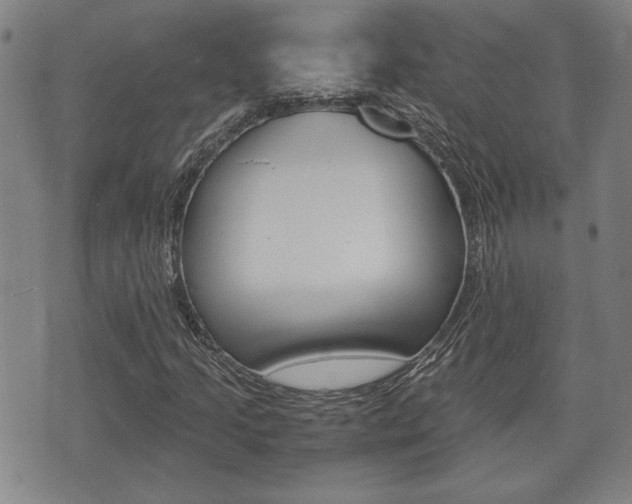 X0000075811205200609150829