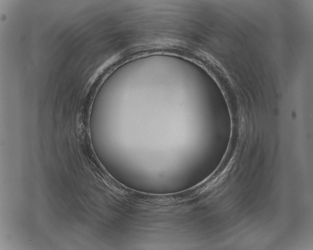 X0000075811210200609150829