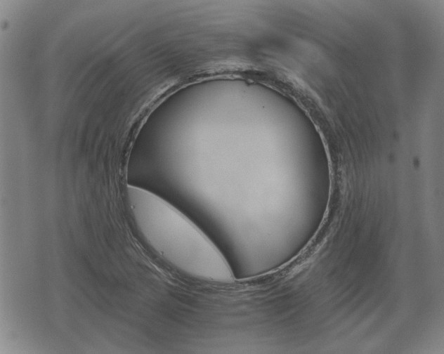 X0000075811217200609150829