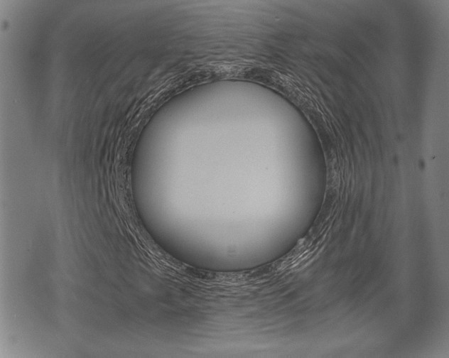 X0000075811249200609150829