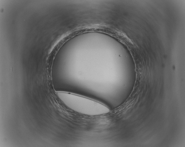 X0000075811256200609150828