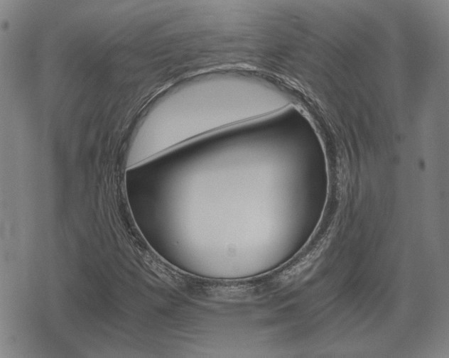 X0000075811257200609150828