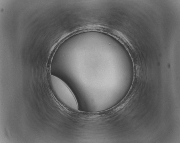 X0000075811260200609150828