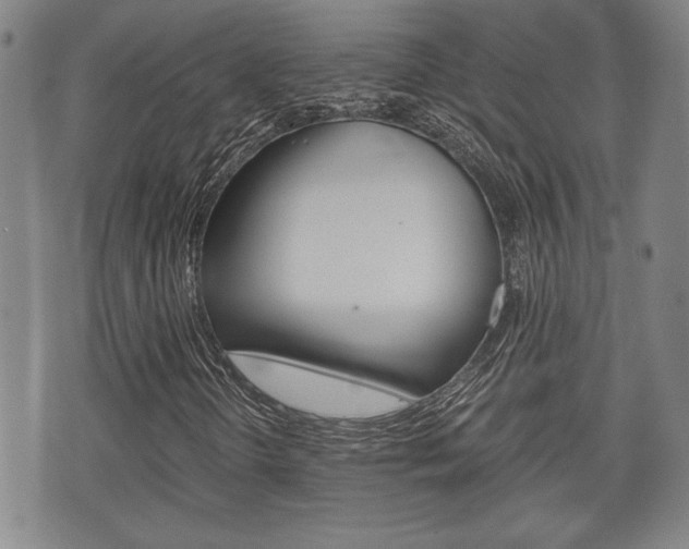 X0000075811298200609150827
