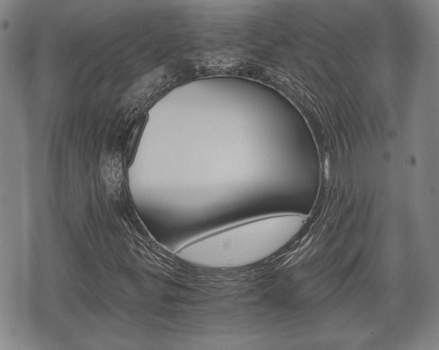 X0000075811299200609150827