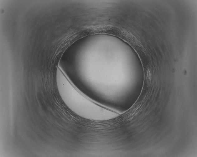 X0000075811300200609150827