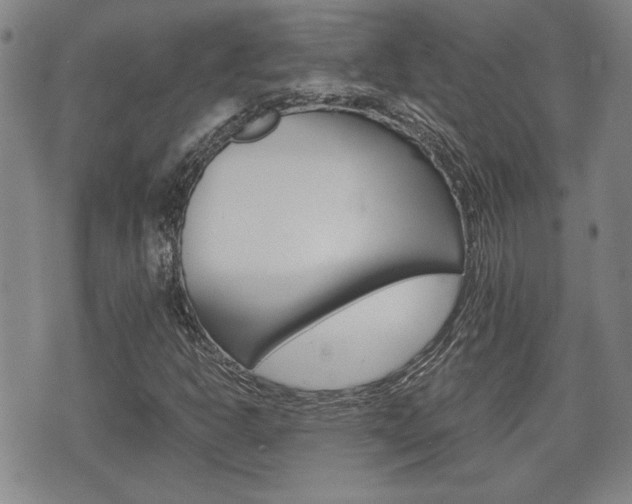 X0000075811302200609150827