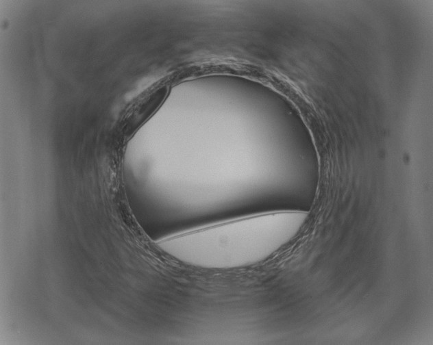 X0000075811303200609150827
