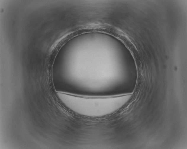 X0000075811304200609150827