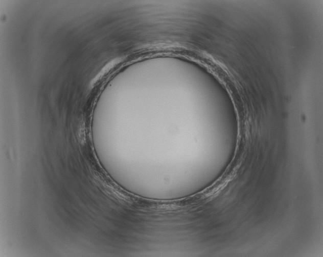 X0000075811306200609150827