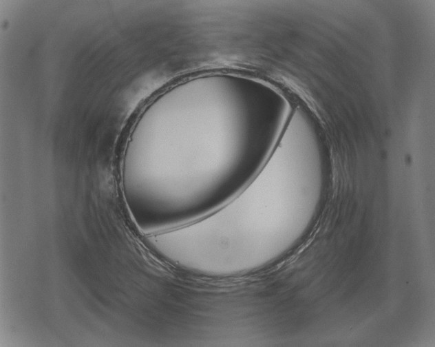 X0000075811308200609150827