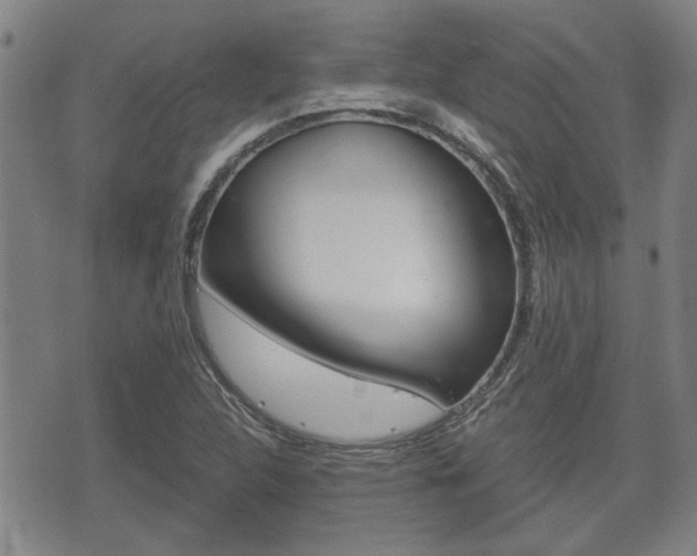 X0000075811312200609150827