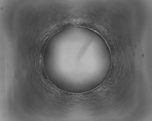 X0000075811349200609150827