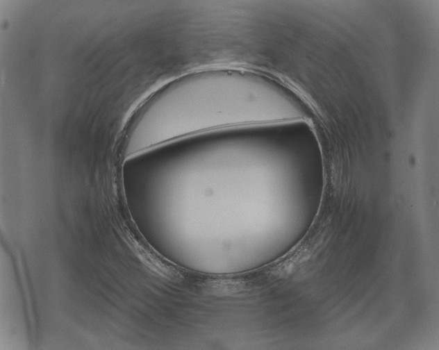 X0000075811356200609150827