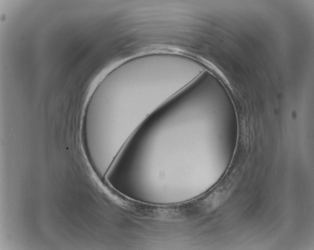 X0000075811379200609150826