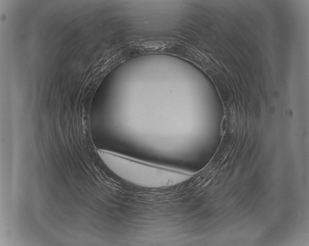 X0000075811394200609150825