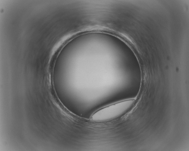 X0000075811414200609150826
