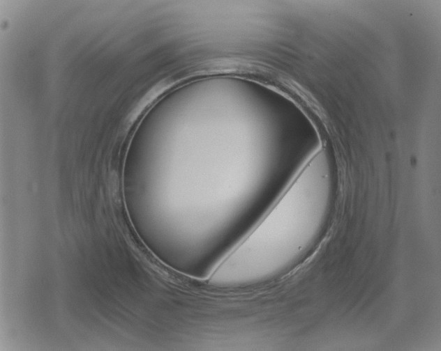 X0000075811465200609150825