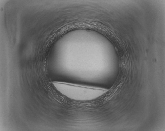 X0000075811490200609150824