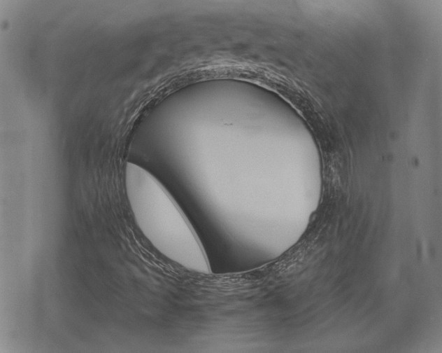 X0000075811493200609150824