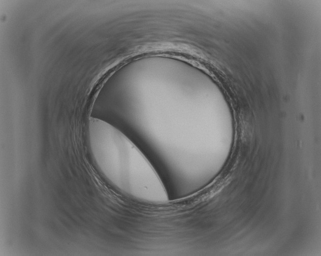 X0000075811497200609150824