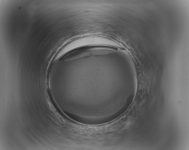 X0000075810002200609151158