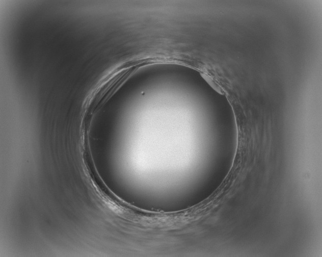 X0000075810005200609151158