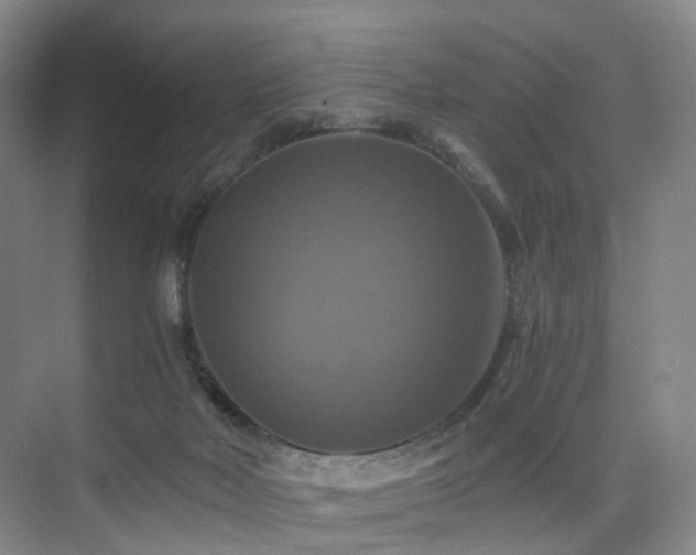 X0000075810026200609151158