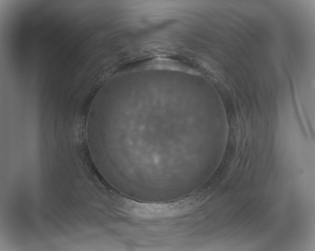 X0000075810034200609151158