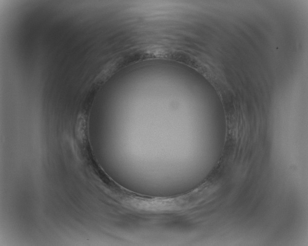 X0000075810036200609151158